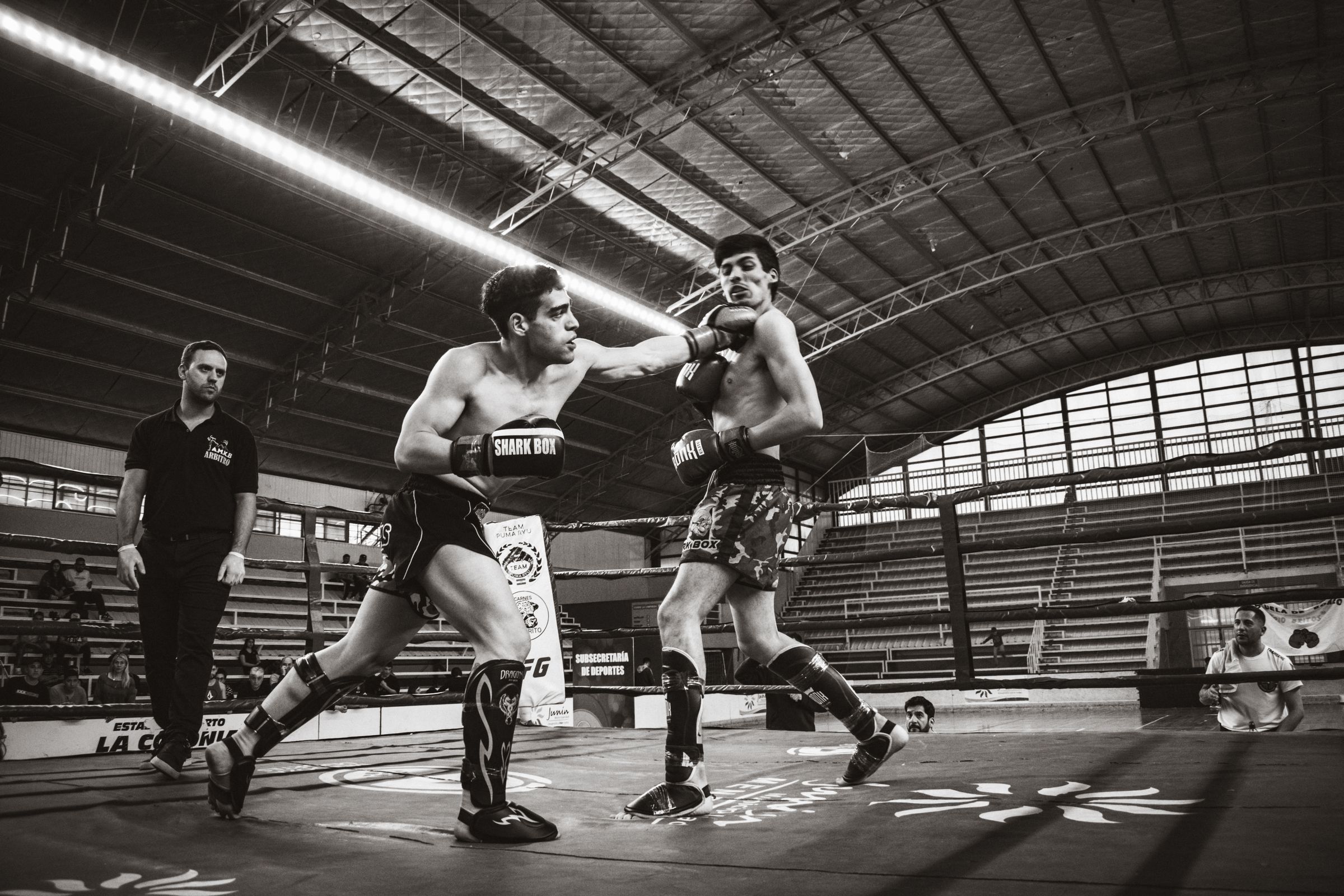 Combat de Muay Thaï dans un stade